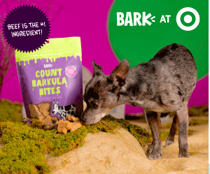 Bark dog treats