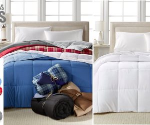 Down Comforter Deal